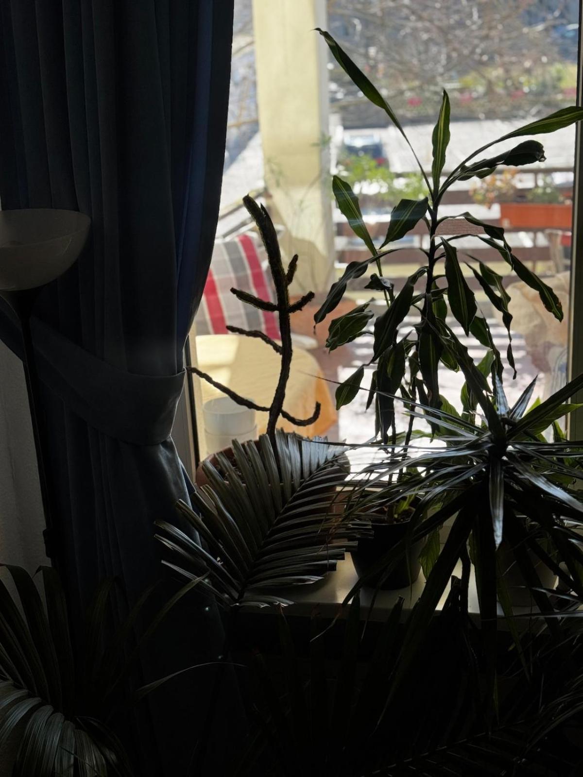 Appartement 5 Mins To Kadewe N Ku'damm *